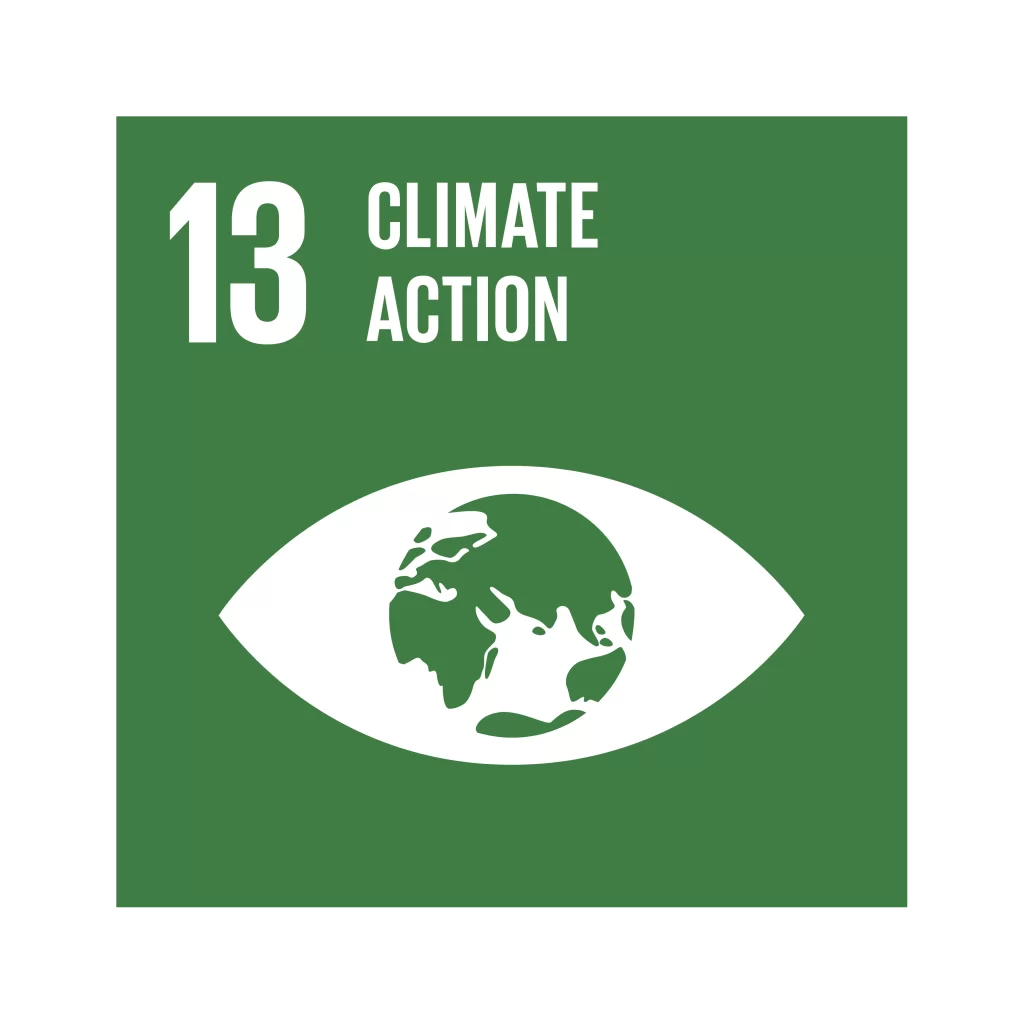 UN SDG 13 icon for Climate Action with an eye symbol containing Earth, representing urgent global action